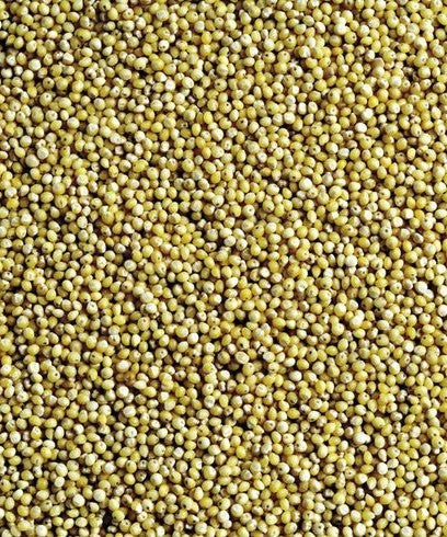 Organic Brown Top Millet - Unpolished (Korale)