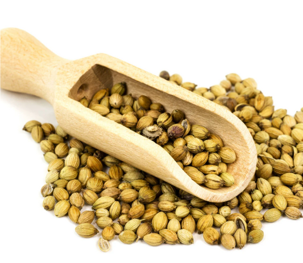 Organic - Coriander  Seeds