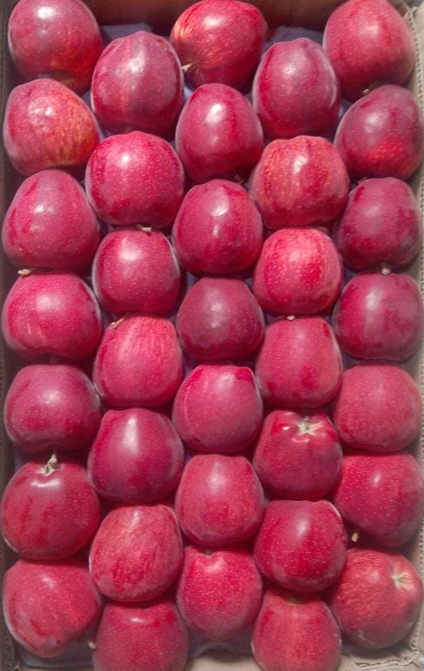 ORGANIC APPLES - KINNAUR