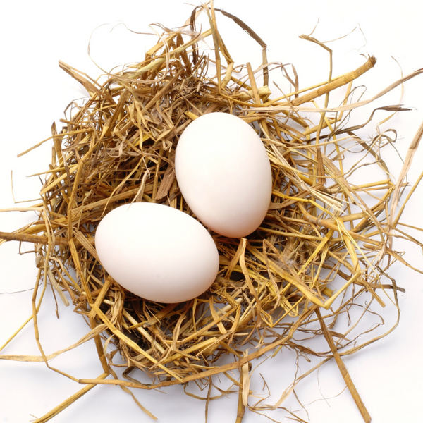 Fresh Naati Eggs  - Organic, Farm Fresh, Country, Free Range -