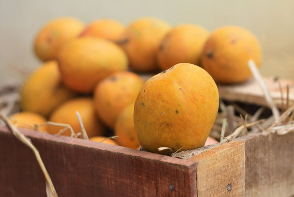 Fresh Mango - Ratnagiri Alphonso (Chemical free, Naturally Ripened)