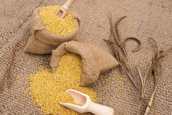 Foxtail Millet  - Un Polished (Navane, Thinai)