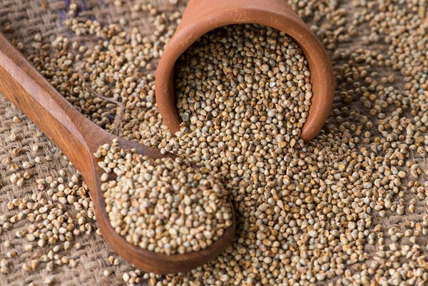 Organic Pearl Millet - Sajje - Whole