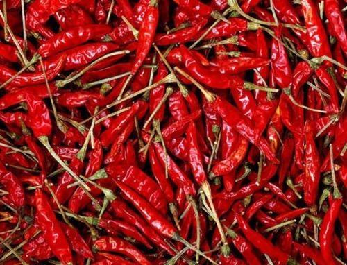 Red Chilli (Guntur) - With Stem